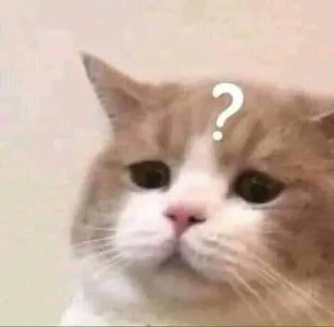 This is a cat